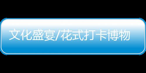 文化88场次各类主题活动