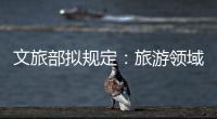 文旅部拟规定：旅游领域探索建立“吹哨人”制度