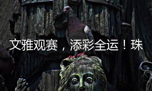 文雅观赛”比赛期间
