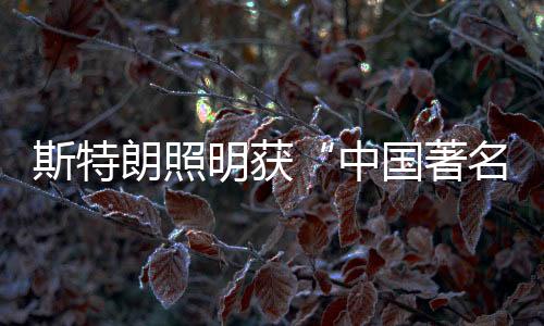 满怀至高的朗照服务之心