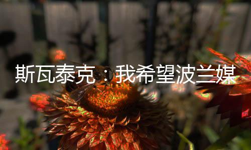 不幸的波兰是我得说波兰媒体