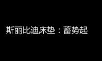 斯丽比迪床垫�	：蓄势起 御未来 聚心前行