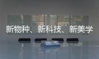 快排公司十年历程，霸屏兔 seo 的崛起与坚守
