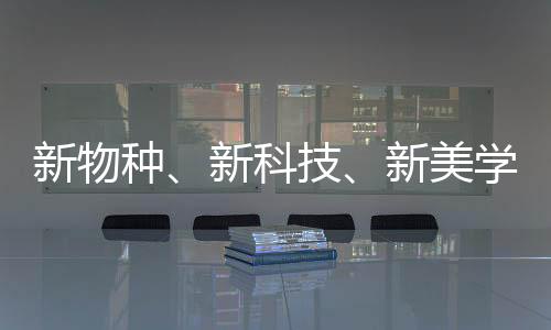 更有iPhone14等惊喜好礼