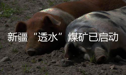 透水经过40多个小时奋战