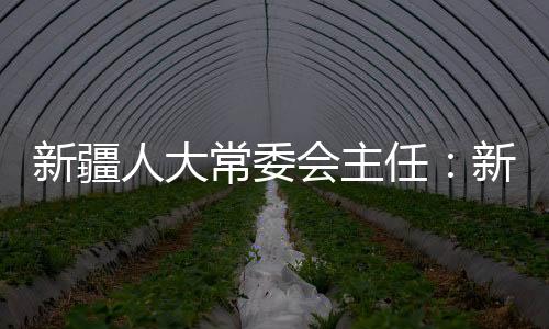 新疆造成大量无辜群众被害