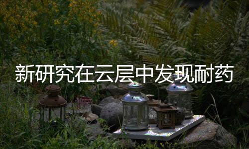 其中一些参与云的形成