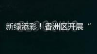 新绿添彩！香洲区开展“我为全运种棵树”义务植树活动