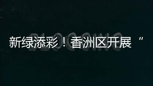 区开全运35株凤凰木