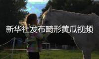 新华社发布畸形黄瓜视频爆火�，戳破了当下教育最大的真相