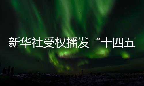 决定批准这个规划纲要