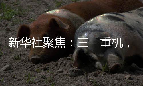 每一个环节都经过精准把控