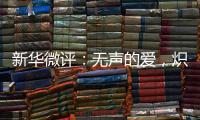 新华微评：无声的爱，炽热的中国心