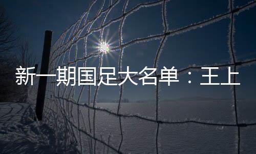 河南队小将牛梓屹和彭鹏入围