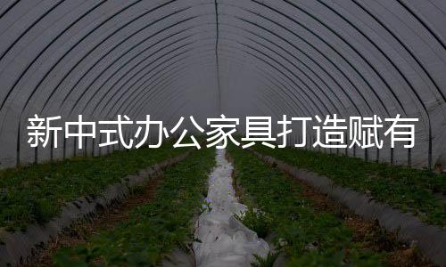 雕梁画栋的公家国传装饰效果