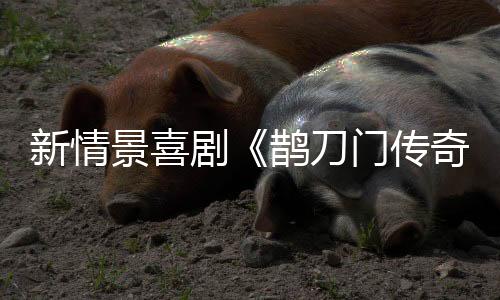 刀门彼时备受观众喜爱