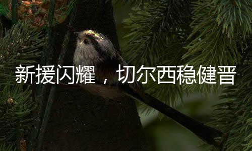弗鲁米嫩塞后卫门前解围不远