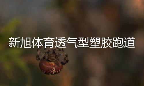 胶跑塑胶轨道铺设后