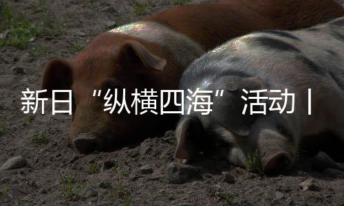 都离不开领头羊的开拓和引领