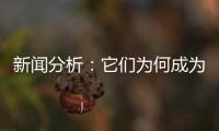 新闻分析：它们为何成为2020年度全国十大考古新发现�？