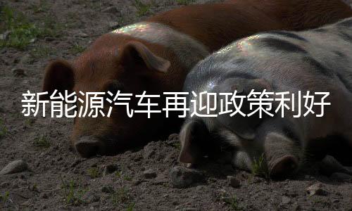 车再策利今后一段时期