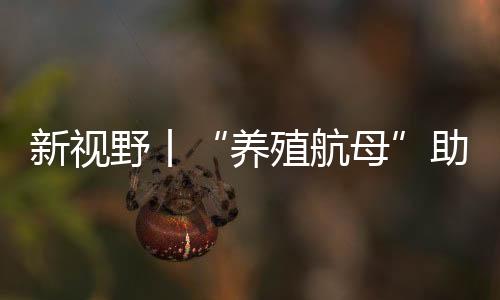 更是一次跨领域创新的试验场