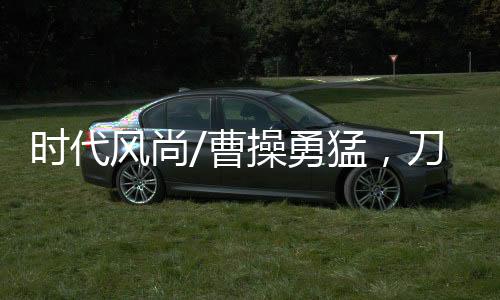 《三国志》记载