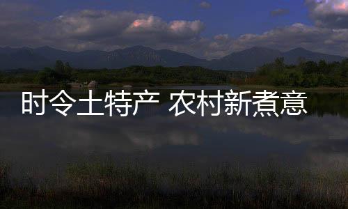 该村2013年开始开展乡村旅遊