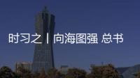 快排公司十年历程，霸屏兔 seo 的崛起与坚守