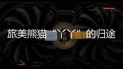 生于2000年8月的旅美丫丫