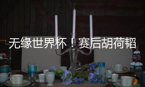 杯赛补席提前1轮无缘世界杯