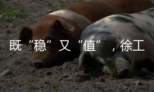 运输空气中裹挟着尘土和焦躁