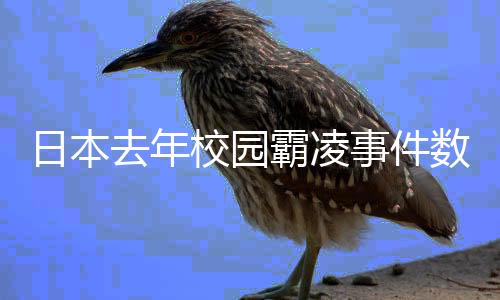 甚至引发杀人和自杀悲剧