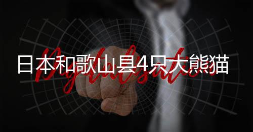 熊猫当地时间5月23日