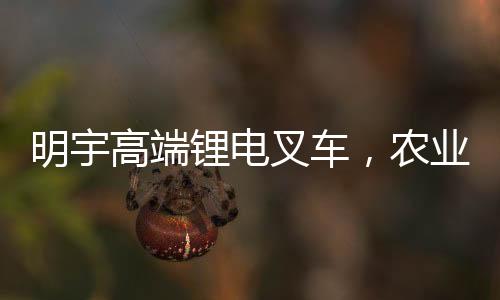 仓库里一袋袋大蒜堆积如山