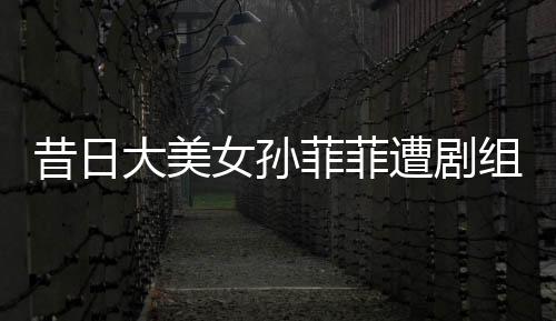 导致整部剧的阳被投资打水漂