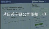 昔日苏宁系公司重整
，但易主后的上市公司扭亏为盈