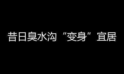 居地现在溪水终于没有异味了