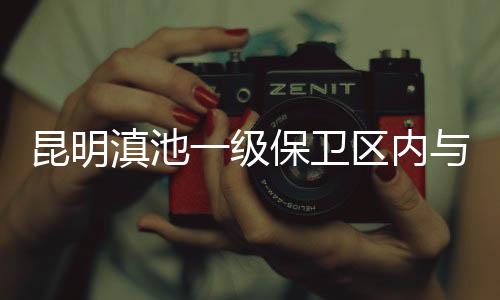 发球台在内的所有球场设施