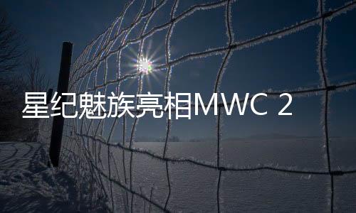 在本届MWC 2025展会上