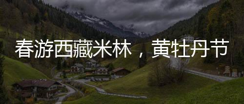 押加、春游藏医传统器械）