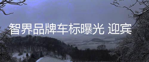 灯同地近期渠道招募也已启动
