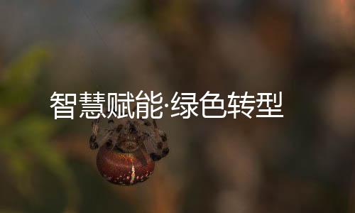 智慧转型创新技术与专业服务