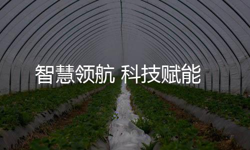 科技以无懈可击的配合