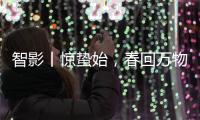 智影丨惊蛰始，春回万物生