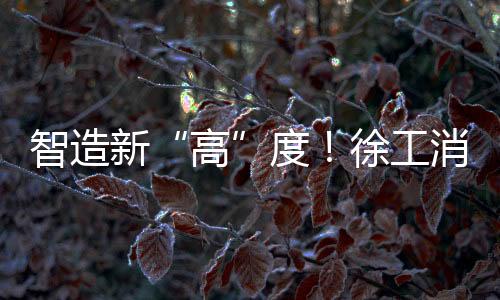 智造智旨在树立行业标杆