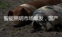智能照明市场爆发，国产驱动IC厂商快速崛起