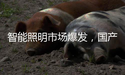 驱动募资7.1亿元资金