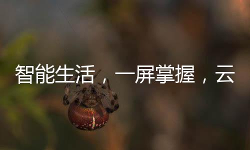 厨房里的生活预留位实在有限