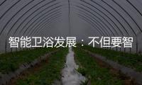 智能卫浴发展：不但要智能 更要有品位